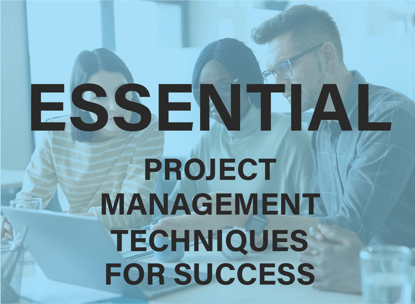"Discover top project management techniques for success. Learn how to optimize your processes, improve efficiency, and achieve project goals. Learn more!"